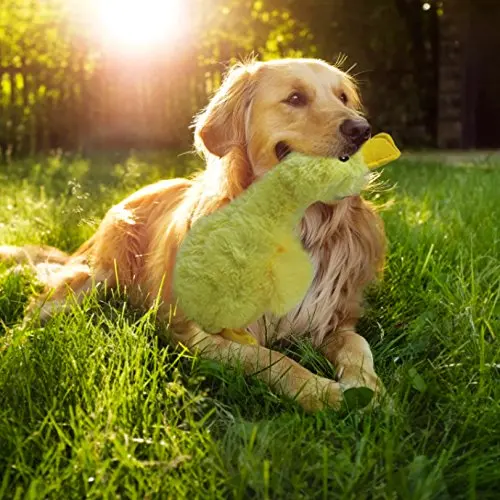 Pet Прекрасный интерактивная игрушка Игрушки для собак плюшевые скрипучий утка