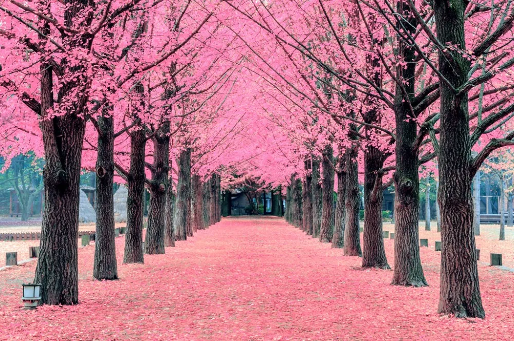 

7x5ft Vinyl Custom Digital Photography Backdrops Props Scenic Background JUTF-5042