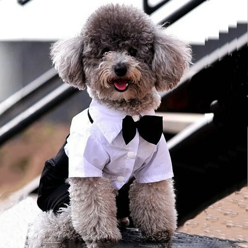 Официальная одежда для собак, Свадебный костюм для питомца, костюм для питомца, смокинг, одежда для маленьких и средних собак, для собачек-Мопсов, французский бульдог, галстук-бабочка, одежда для собак