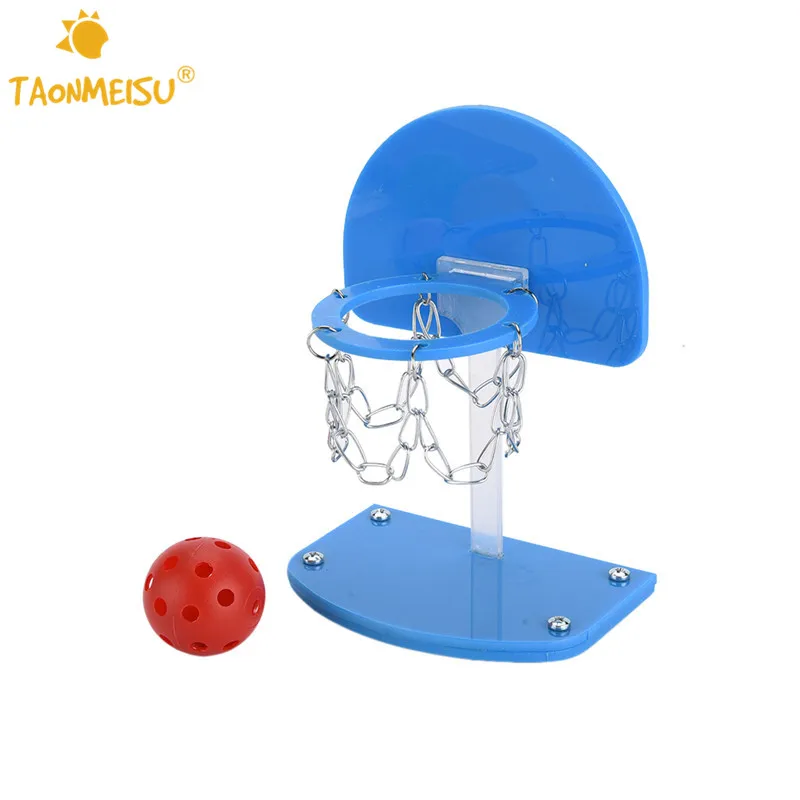Birds Chew Toy Mini Basketball Hoop Props Puzzle Education Toys