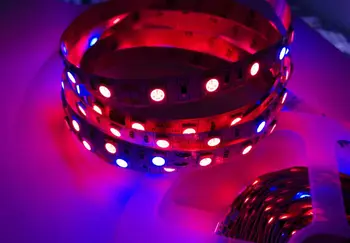 

[Seven Neon]Free DHL shipping wholesale new 5M/rool 60leds/m IP20 non-waterproof DC5V 5050 4:1 LED SMD Strip for plant growing