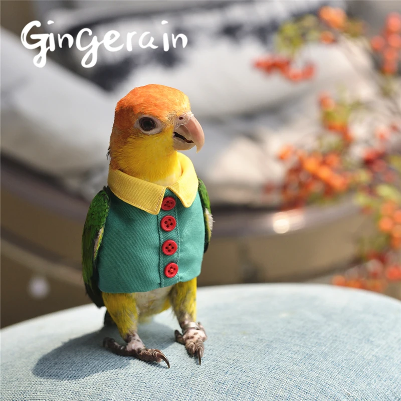

Gingerain Bird clothes Parrot clothes Button shirt original hand-made custom bird clothes Button shirt