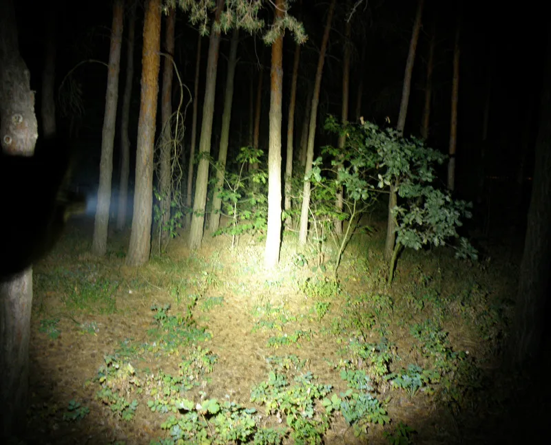 PA020349