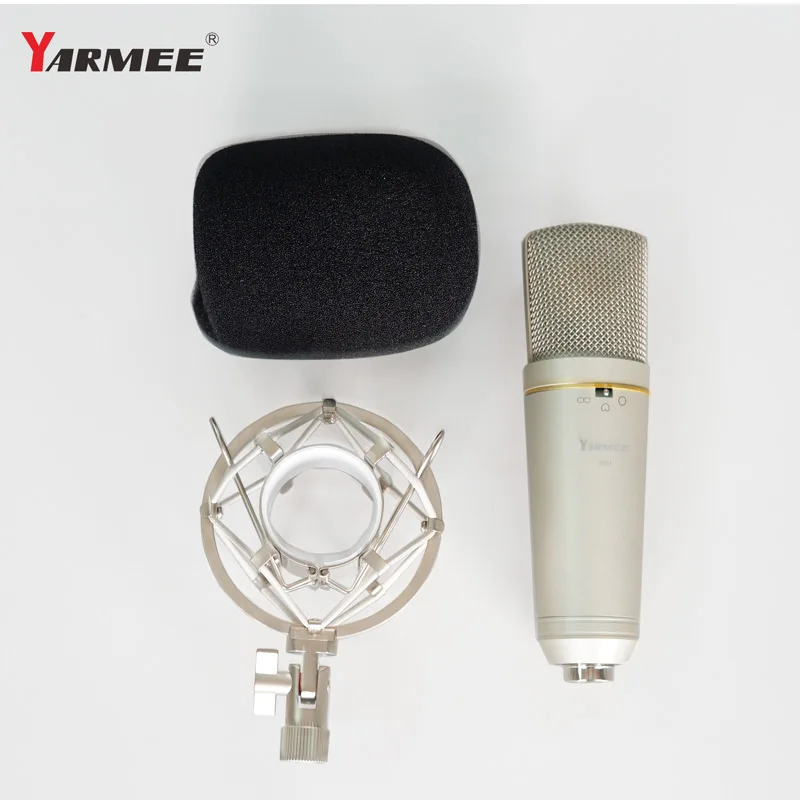Professional Recording Microphone XLR Studio