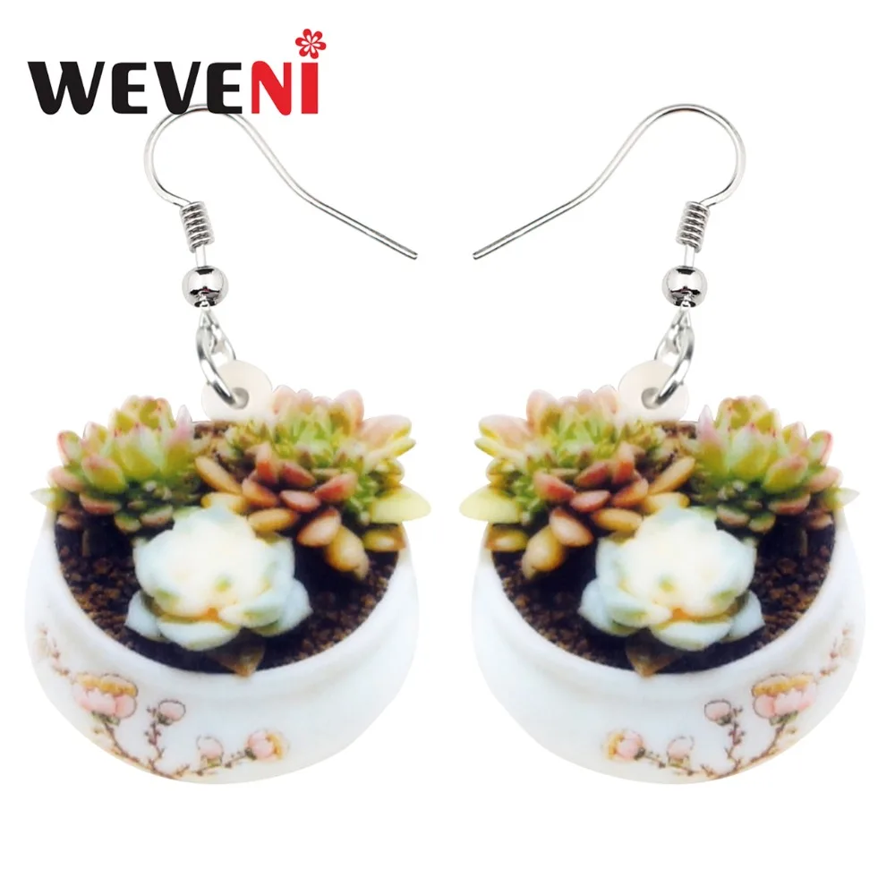 WEVENI Акриловые Модные растения суккуленты кактус искусственный горшок цветок