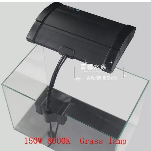 150W 8000K Clip