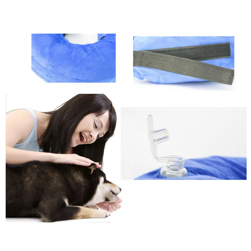 hlt008collar-06-xijie