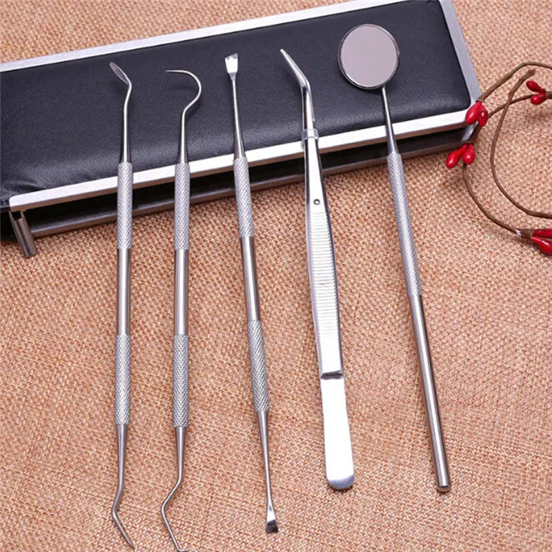 5 pcs/set Stainless Steel Dentist Tools Teeth Whitening Hygiene