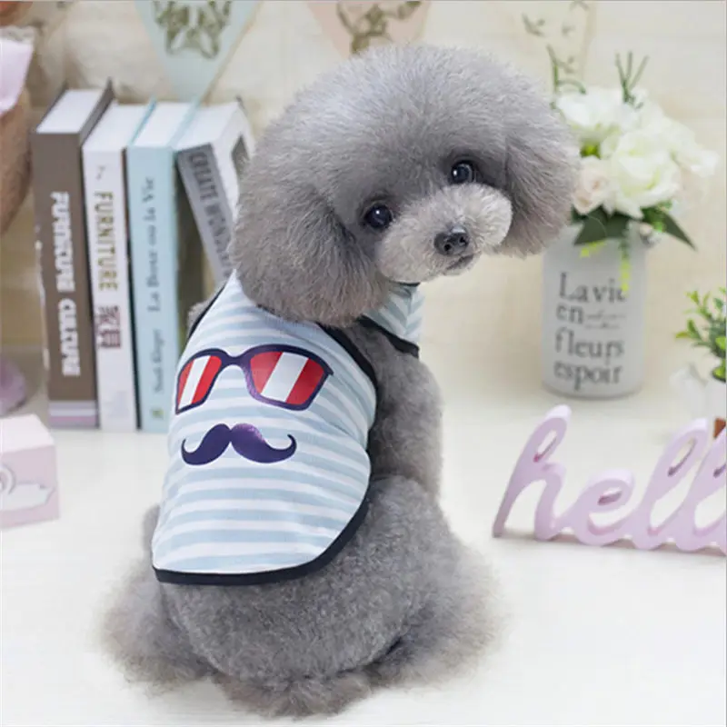QQ20190301142811