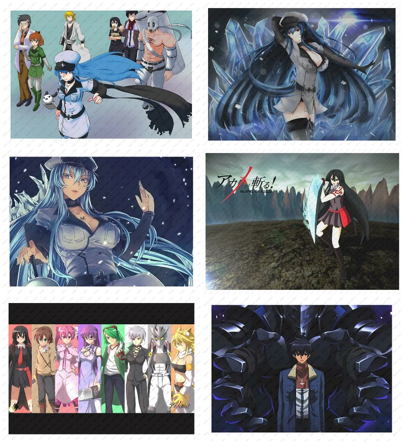 

Akame ga KILL! Night Raid Decorative paintings Wall stickers White Kraft Poster Japanese Anime Poster