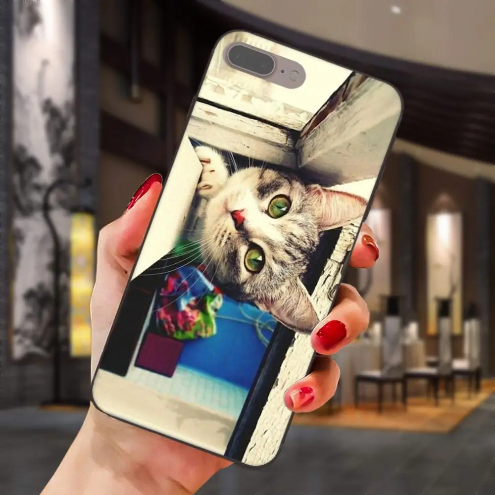 Серая кошка с Zenit камерой для Huawei Honor 5A 6A 6C 7A 7C 7X 8A 8C 8X 9 10 P8 P9 P10 P20 P30 Mini Lite Plus мягкая
