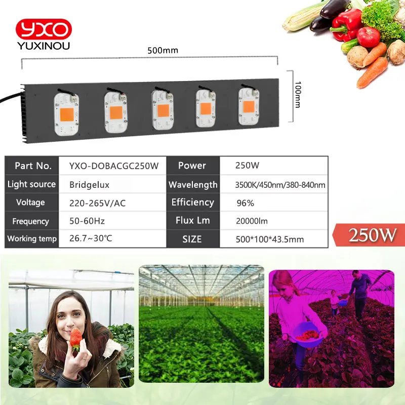 COB светодиод dob, светильник для выращивания, полный спектр, 50 Вт, 100 Вт, 200 Вт, 300 Вт, для овощей, цветов, для помещений, гидропоники, теплица, лампа для растений