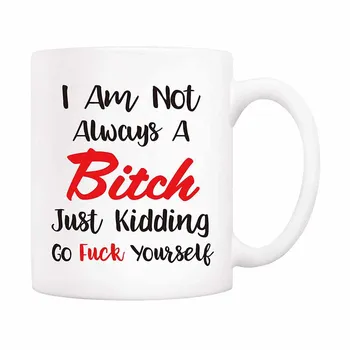 

Christmas Gifts Funny Coffee Mug - I Am Not Always A Bit Just Kidding Go Fu Yourself, 11Oz Novelty Ceramic Cups, Unique Birthday