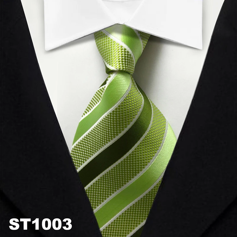 TS1003