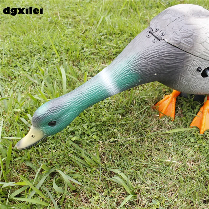 Hunting Duck (92)