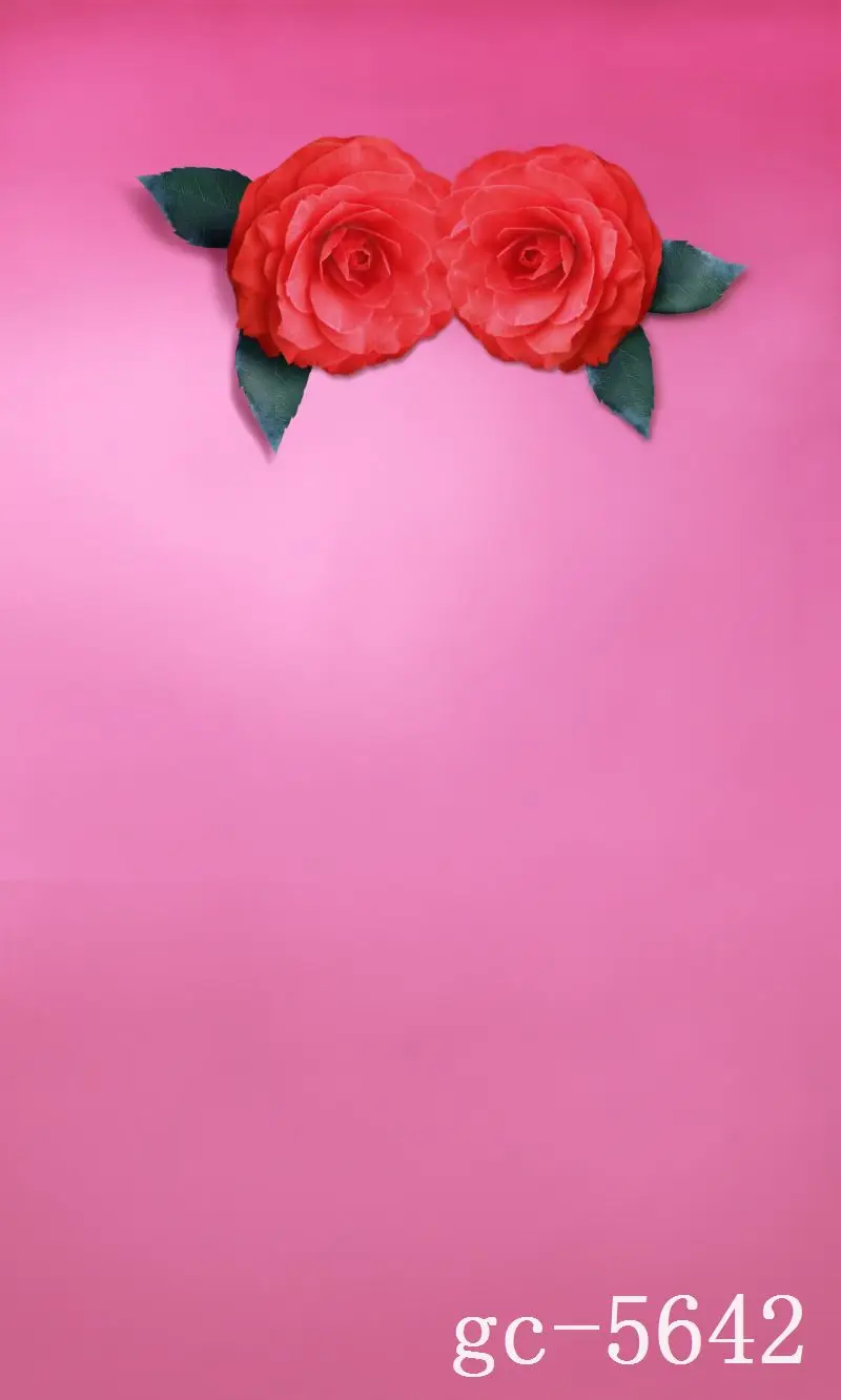 

3*5M Art Cloth Custom Photography Backdrops Prop Indoor theme Studio Background GC-5642
