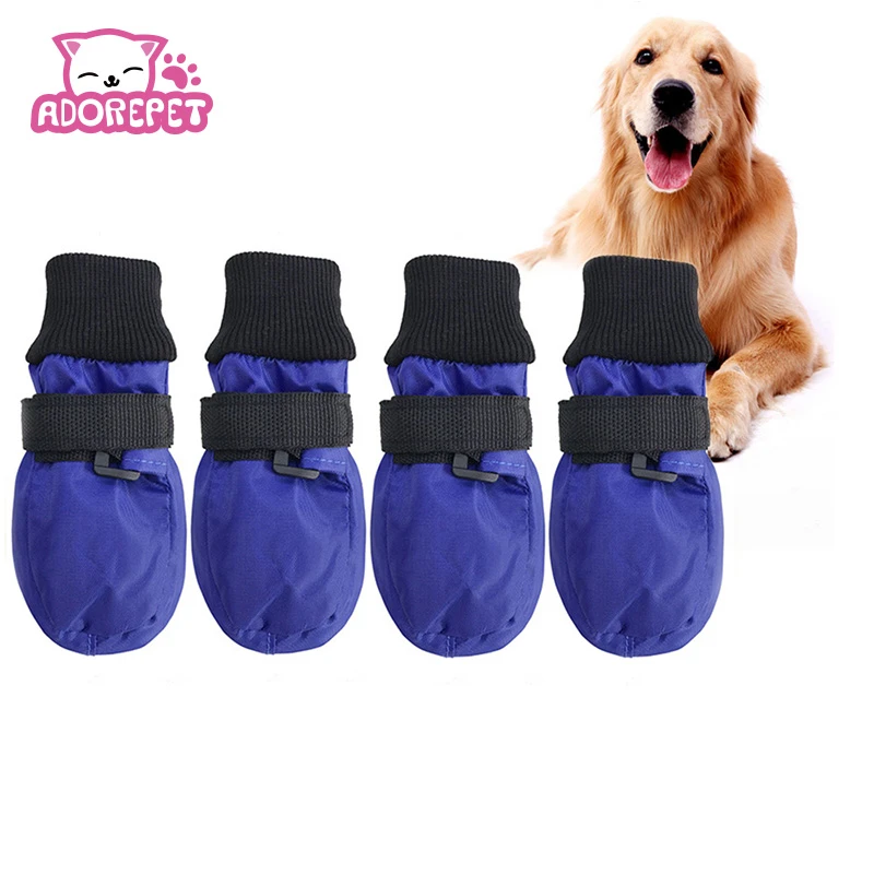 dog boots in store
