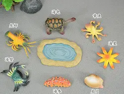 Моделирование морских животных игрушка Морская звезда черепаха Осьминог Омар Краб гребешок в В виде ракушки морской огурец