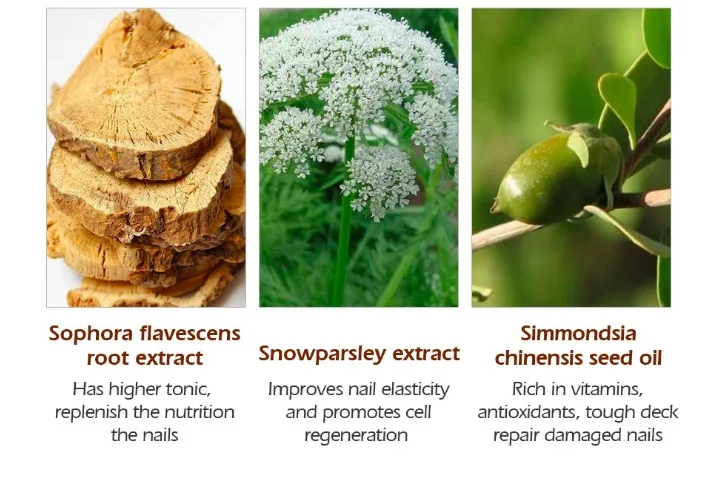 Ремонт ногтей эссенция сыворотка Лечение ногтей от грибка анти-инфекция удаление онихомикоза рук Уход за ногами ног питательный яркий