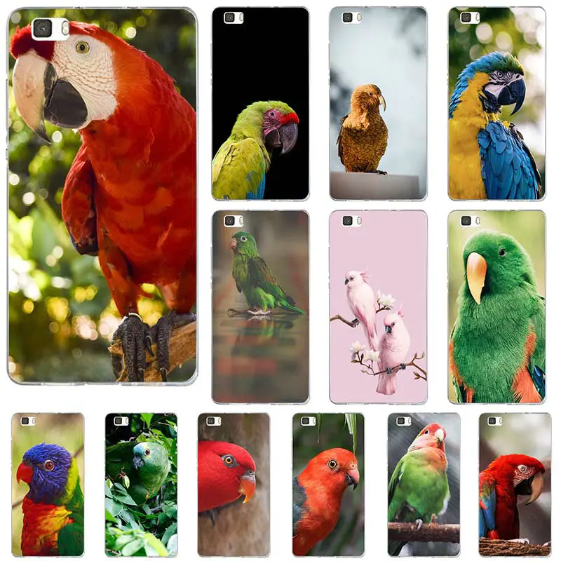 Colorful Rainbow Macaw Parrot Soft TPU Silicon Phone Cases for Huawei P8 P9 P10 P20 Lite Mate 10 Pro Y5 Y6 II Y7 Honor 6X 7X 9 |