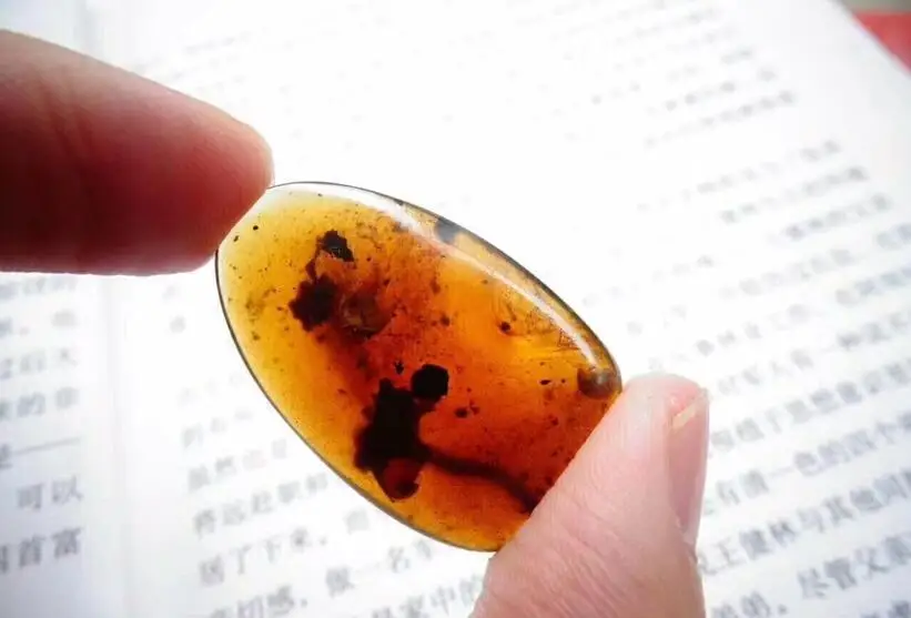 

Cretaceous two snails burmite (Untreated) Myanmar Amber insect 100 million years ago lynx stone pendant mens womens accessory