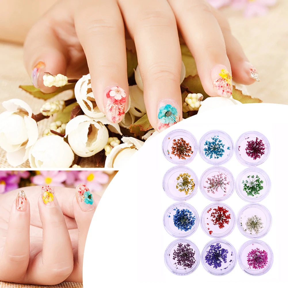 24pcs 3D Dried Flower for Nail Art Decorations Natural Nail Dry Flowers ...