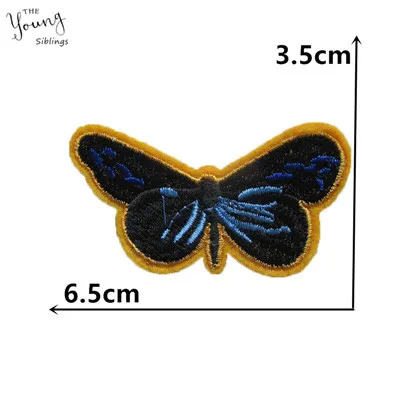 C5455 (2)