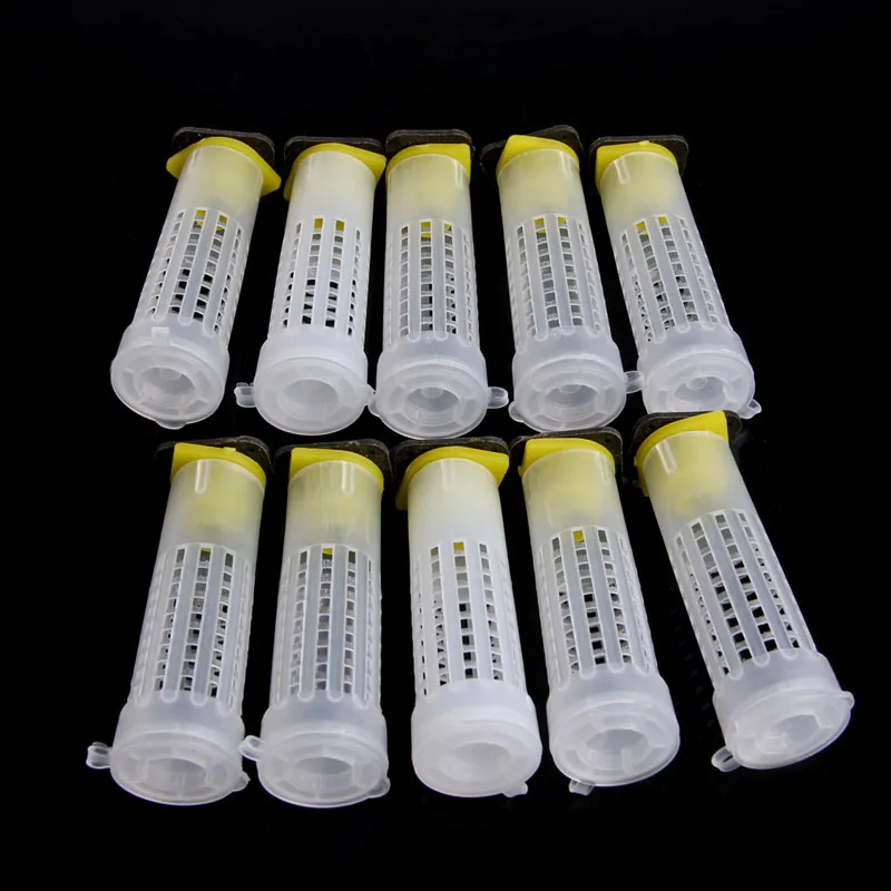 

(Gai jiaaaaaaaaaaaa)10x Beekeeping Rearing Cup Kit Bee Queen Cages Roller Beekeeper Equipment Tool