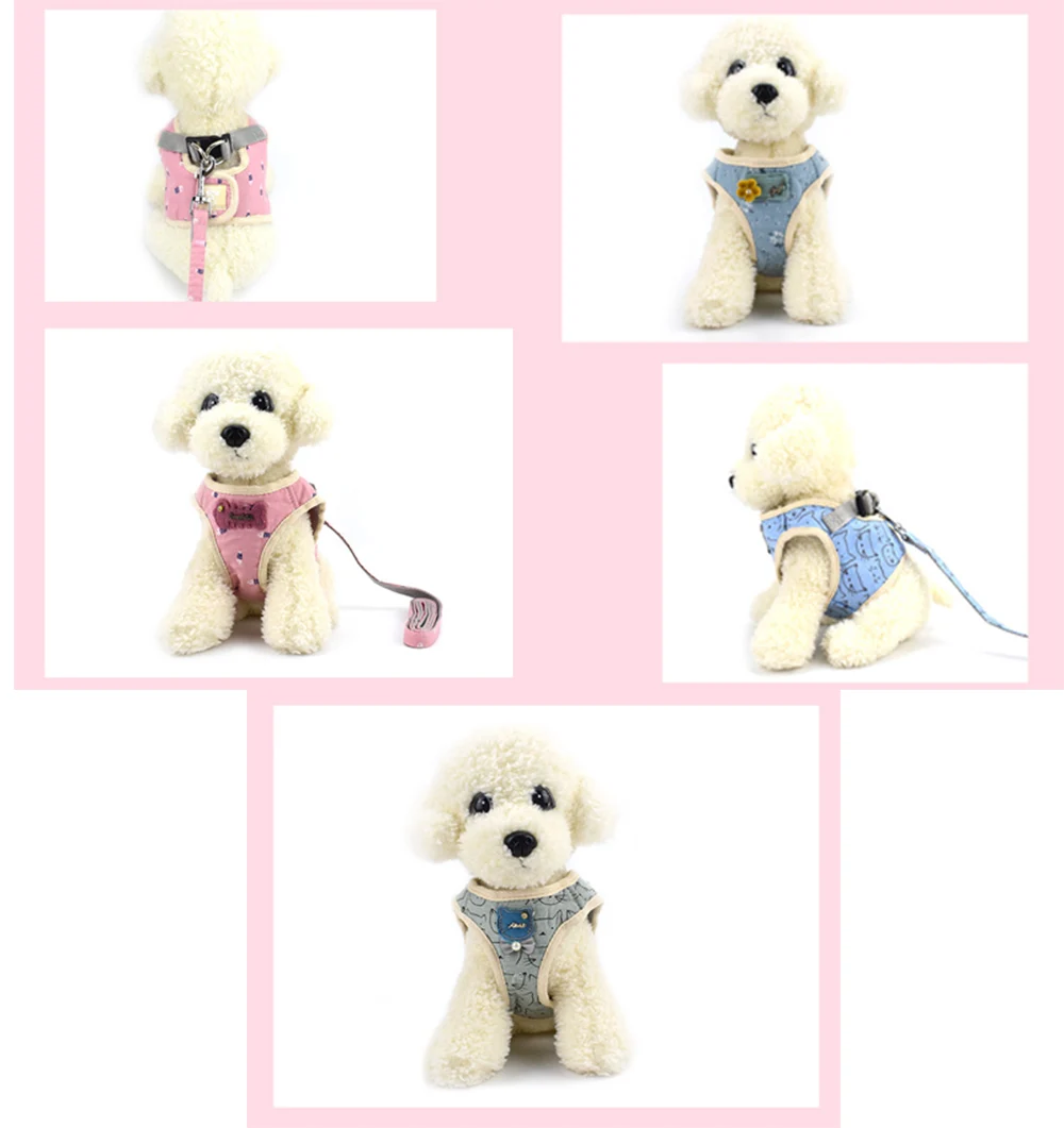 cat harness and leash set