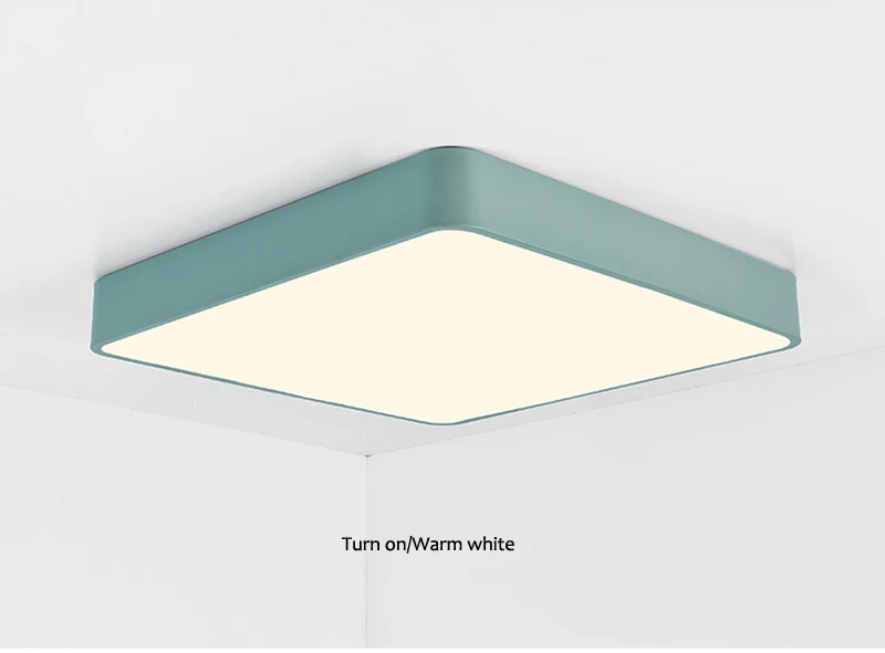 square ceiliing light (26)