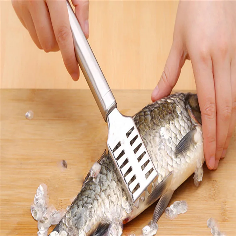 Practical Stainless Steel Fish Scale Remover Cleaner Scaler Scraper Kitchen Peeler Tool Seafood Tools new arrival #4n29 (1)
