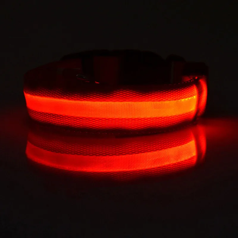 Светодиодный ошейник для собак, ночная безопасность, мигающий светится в темноте, собачий поводок для собак, USB светящийся флуоресцентный ошеники товары для животных#15