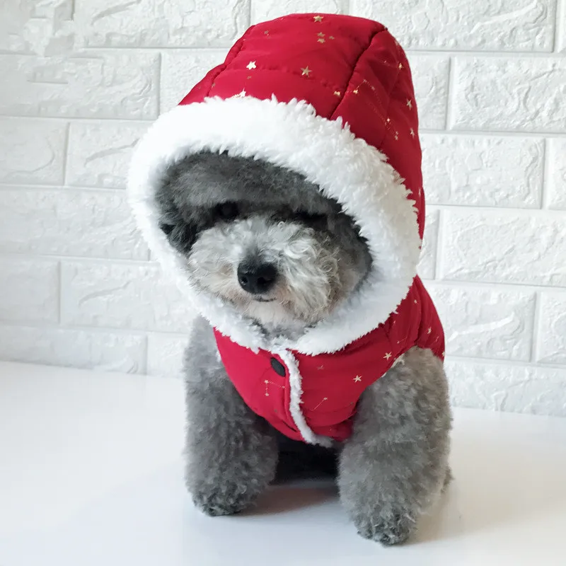 puppy winter coat