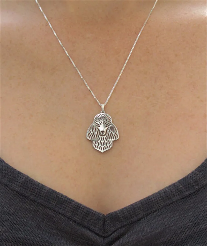 2885987222_2042536302