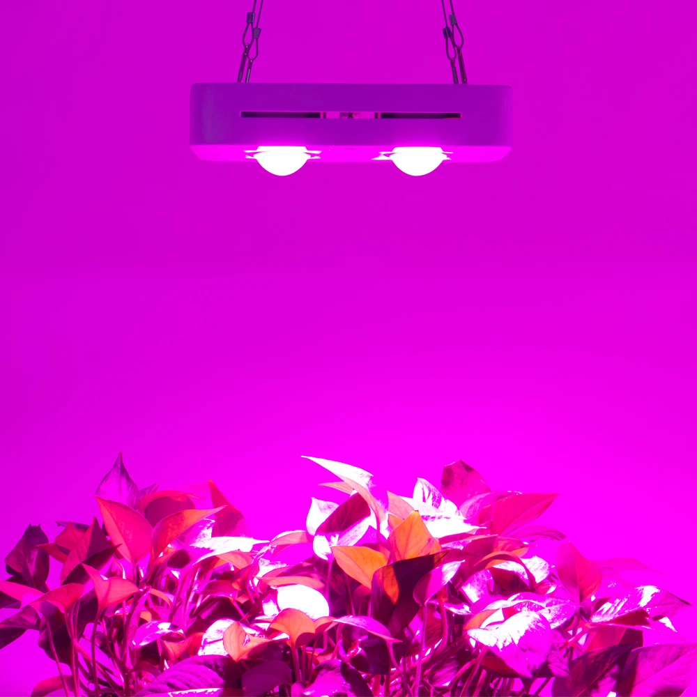 300W COB LED Grow Light Full Spectrum for Indoor Hydroponic Greenhouse Plant All Stage Growth Lighting Replace UFO Growing Lamp