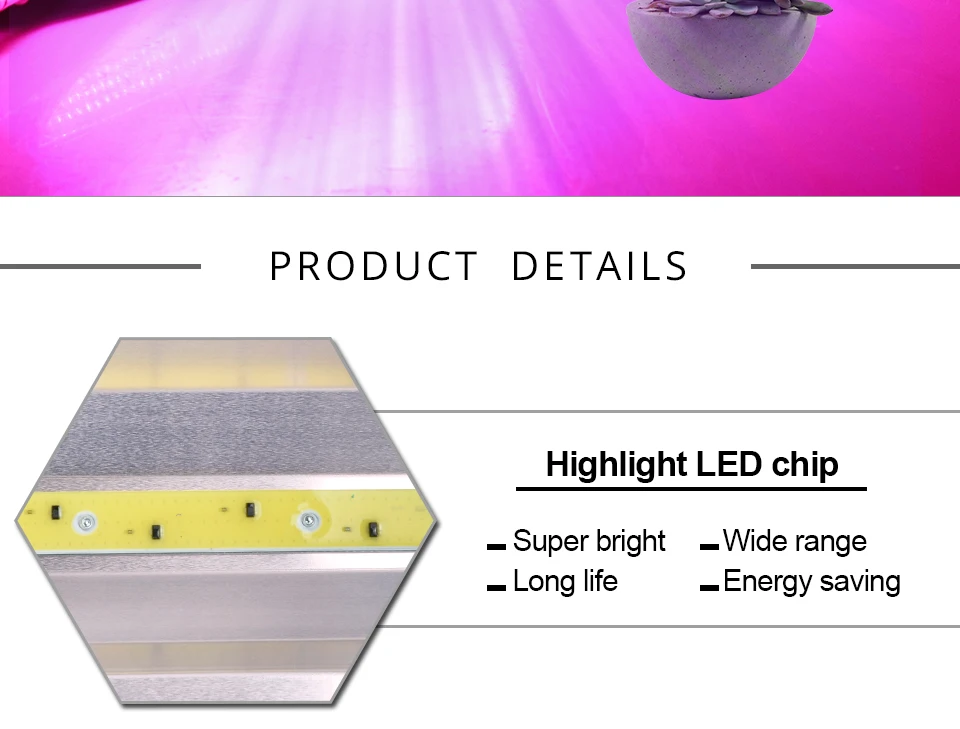Phyto Lamps (10)