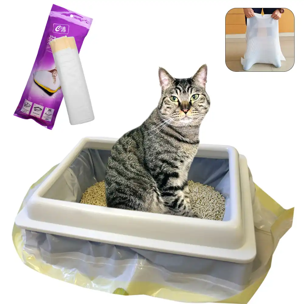 kitten tray