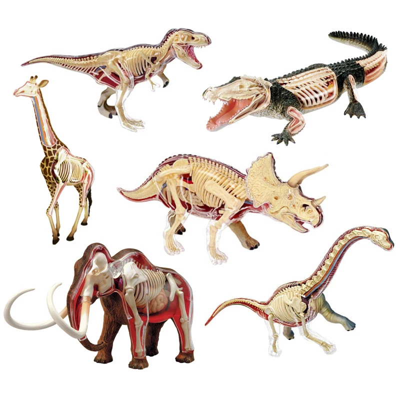 

Animal Vision Anatomy Dinosaur Giraffe Wrist Dragon Tiger Elephant Shark Model 4D Educational Puzzle Medical Science Figure Toys