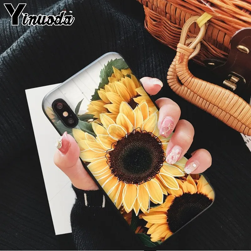Yellow flower Small daisy sunflower