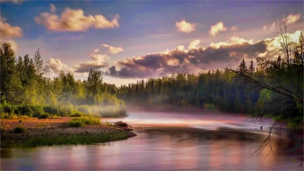 Beautiful great peaceful nature landscape river mist