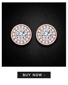 --925-Silver-Earrings_01_04