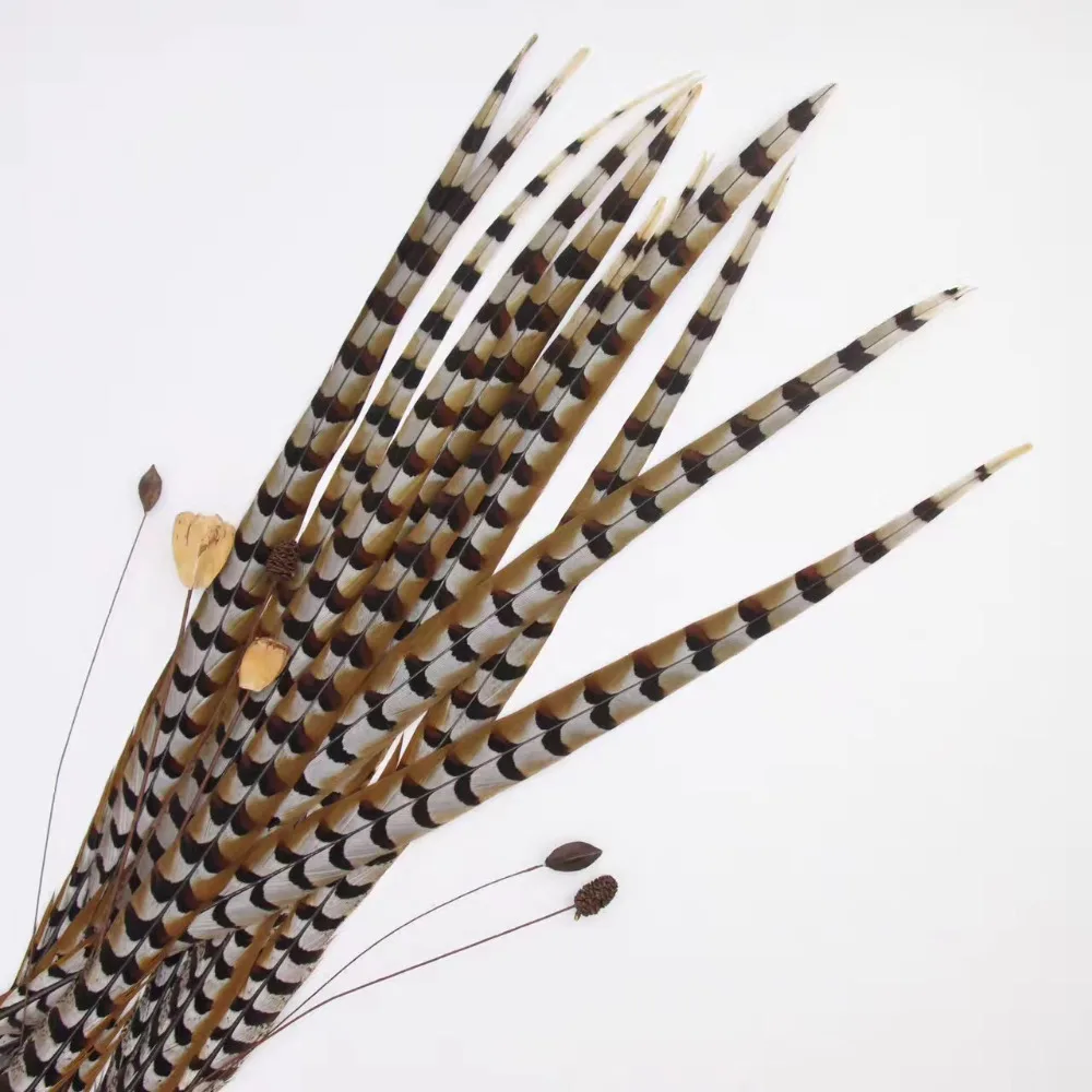 50pcs/lot Super Long Natural pheasant tail feather 150 160cm 60 65inch