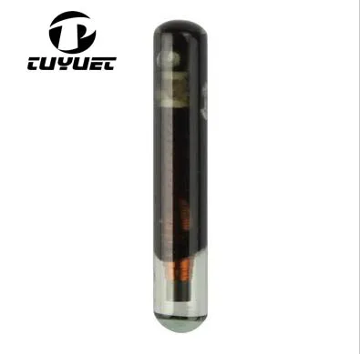 MINI ID4C Glass chip 2-2