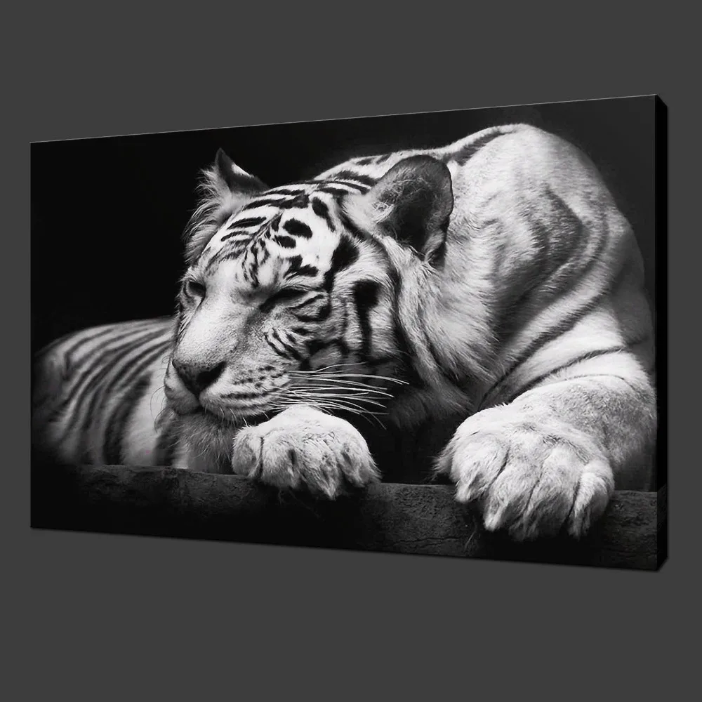 Картина с белым тигром без рамки на холсте, домашний декор для гостиной, украшение, современное искусство, картина с животными, настенная живопись
