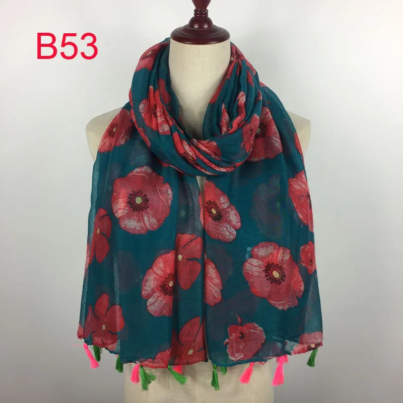 B53