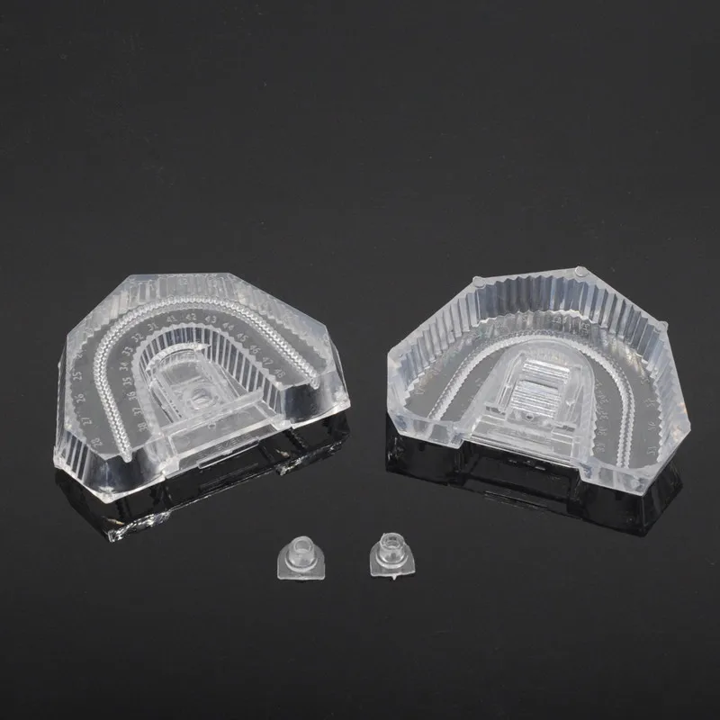 

Dental Lab Disposable Sectioned Base Box Transparent Material Strong Plastic