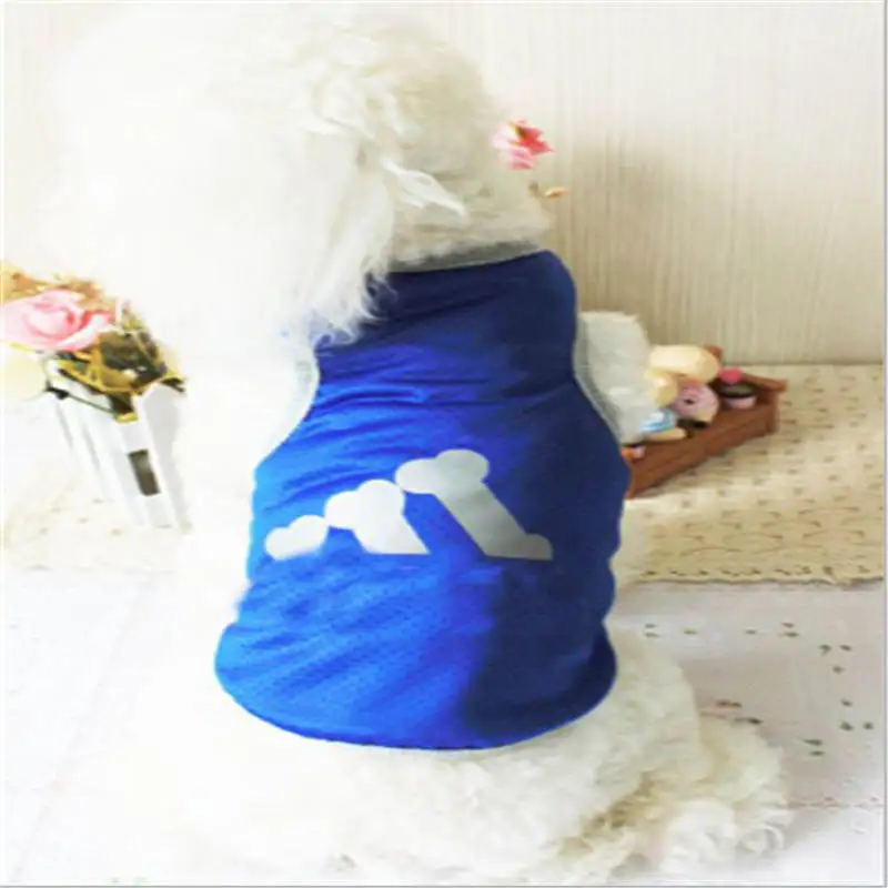 QQ20190210151227