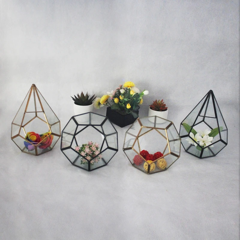 

The popular glass polyhedron and Glass Terrarium for home decoration and plant storage container with 4 styles