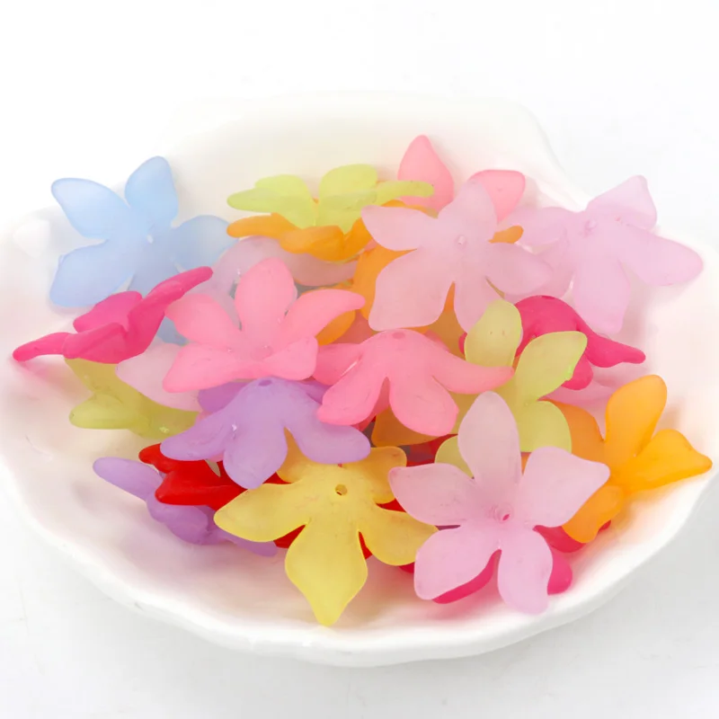 IMG_0847