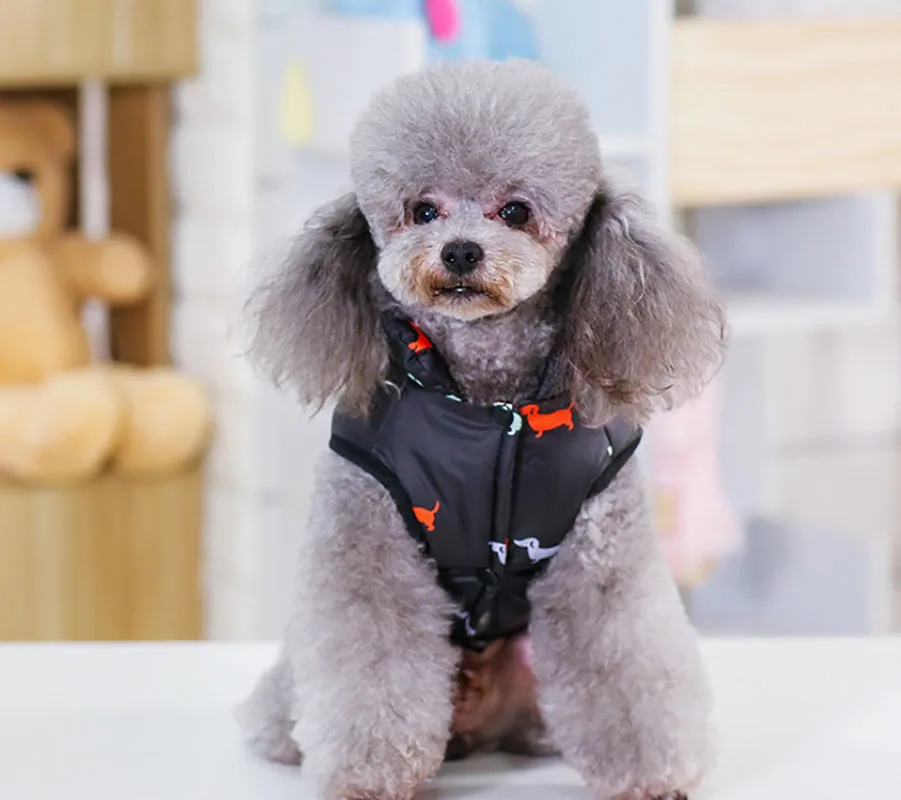 New-style-Clothes-For-Dogs-Pets-Dog-Clothes-Vest-Harness-Puppy-Cats-Coat-Jacket-Apparel-warm (1)